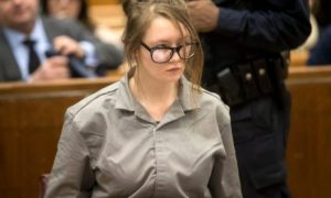 Anna Delvey Net Worth