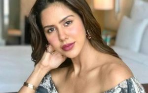 Sonam Bajwa Net Worth