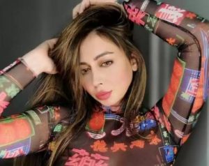 MS Sethi Net Worth