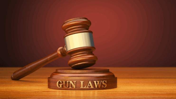 Federal Laws Affecting Virginia Gun Owners