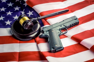Virginia Gun Lawyer
